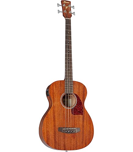 Amazon.com: Ibanez PNB14E OPN Parlor Open Pore Natural Acoustic